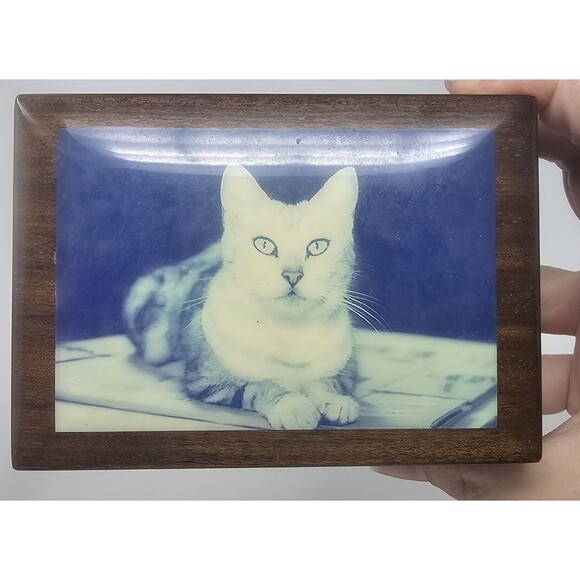 Still Life Tabby Cat Lacquerware Wooden Hinged Trinket Jewelry Box Lined Italy - Picture 15 of 15